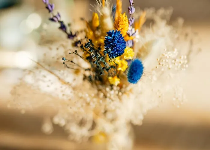 Hotell Slowdown Bottsand Und